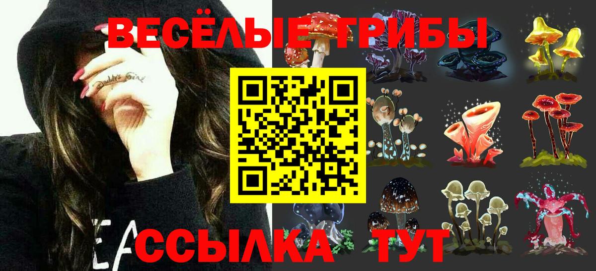 Галлюциногенные грибы Cubensis Минеральные Воды